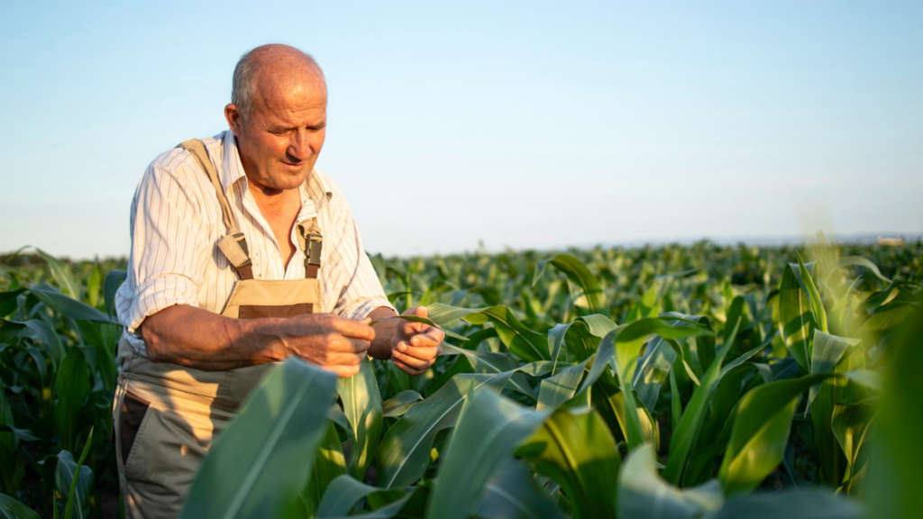 Foto Redução da Carga Tributária do Produtor Rural: Como se Planejar?