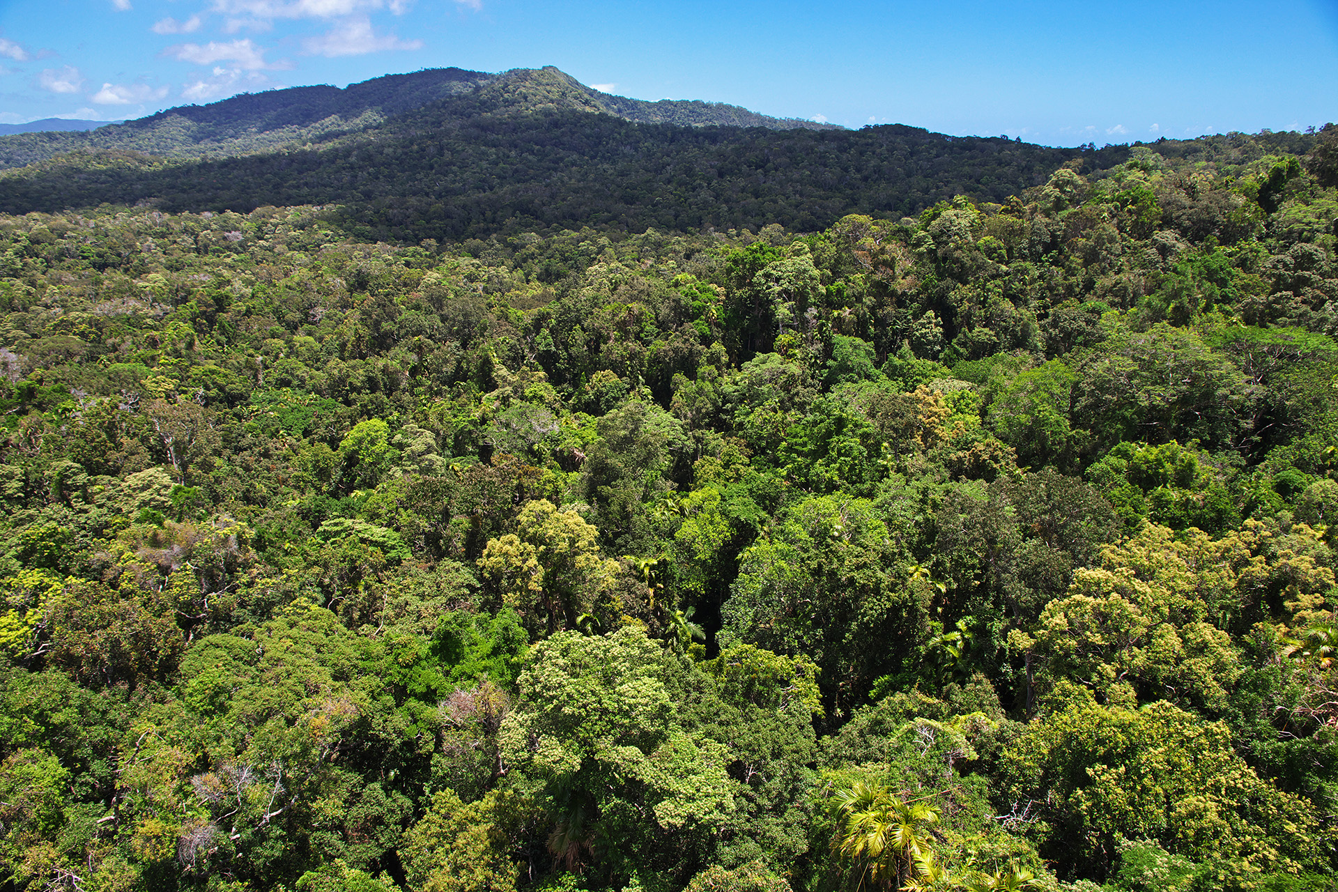 Foto Direito Ambiental
